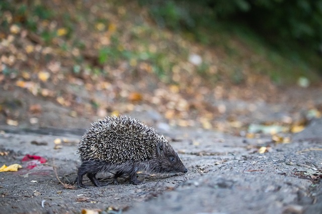 断地探索新 断地探索新