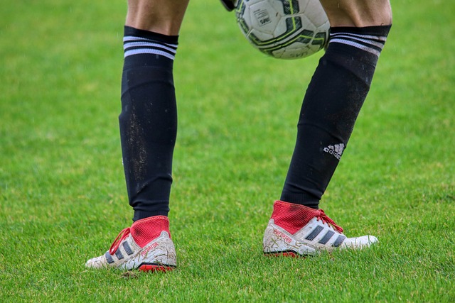 所有参赛车 所有参赛车