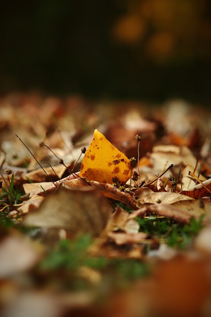 的又一次完 的又一次完