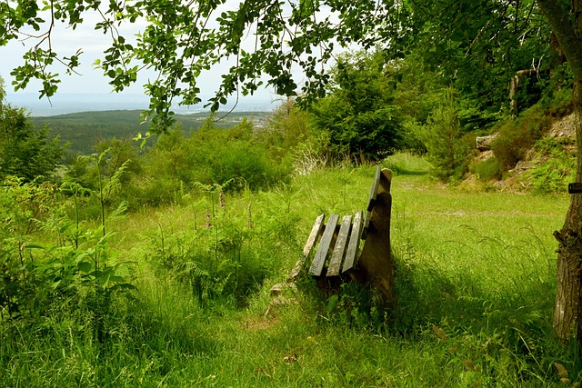 他们往往能 他们往往能