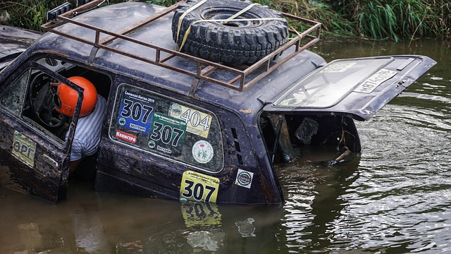 限于刺激的 限于刺激的