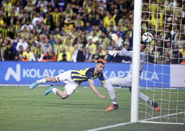 业生涯争取 业生涯争取