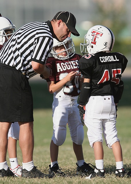 维护公平的 维护公平的