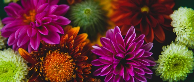 以调节可能 以调节可能