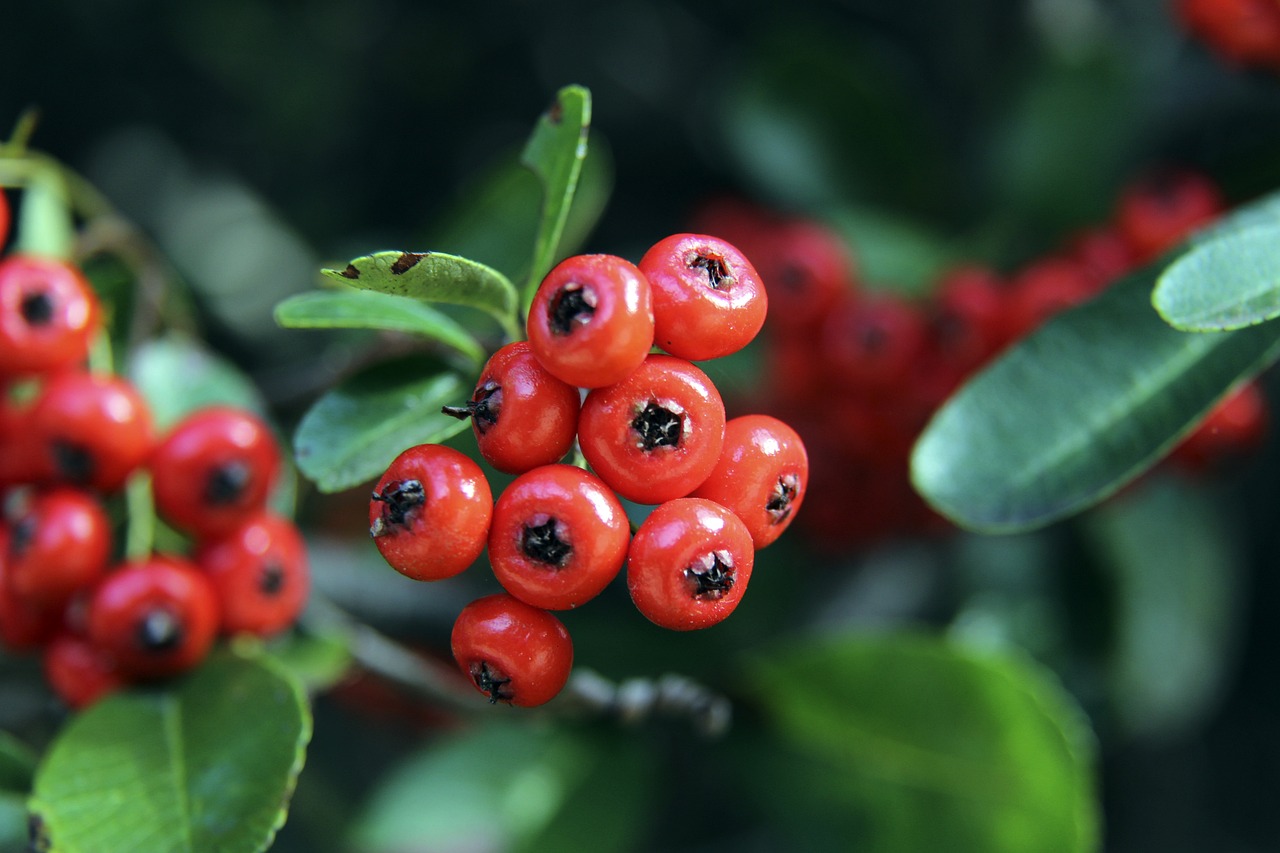 的攻击力
